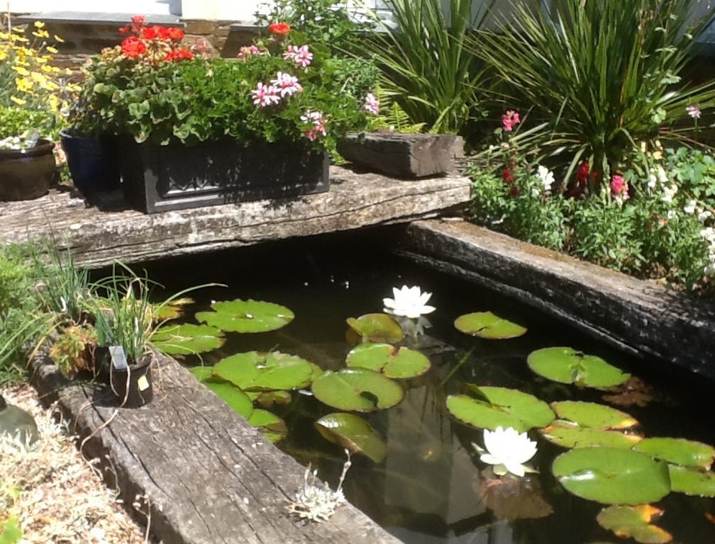 Rose In Vale Country House Hotel St Agnes  Ngoại thất bức ảnh