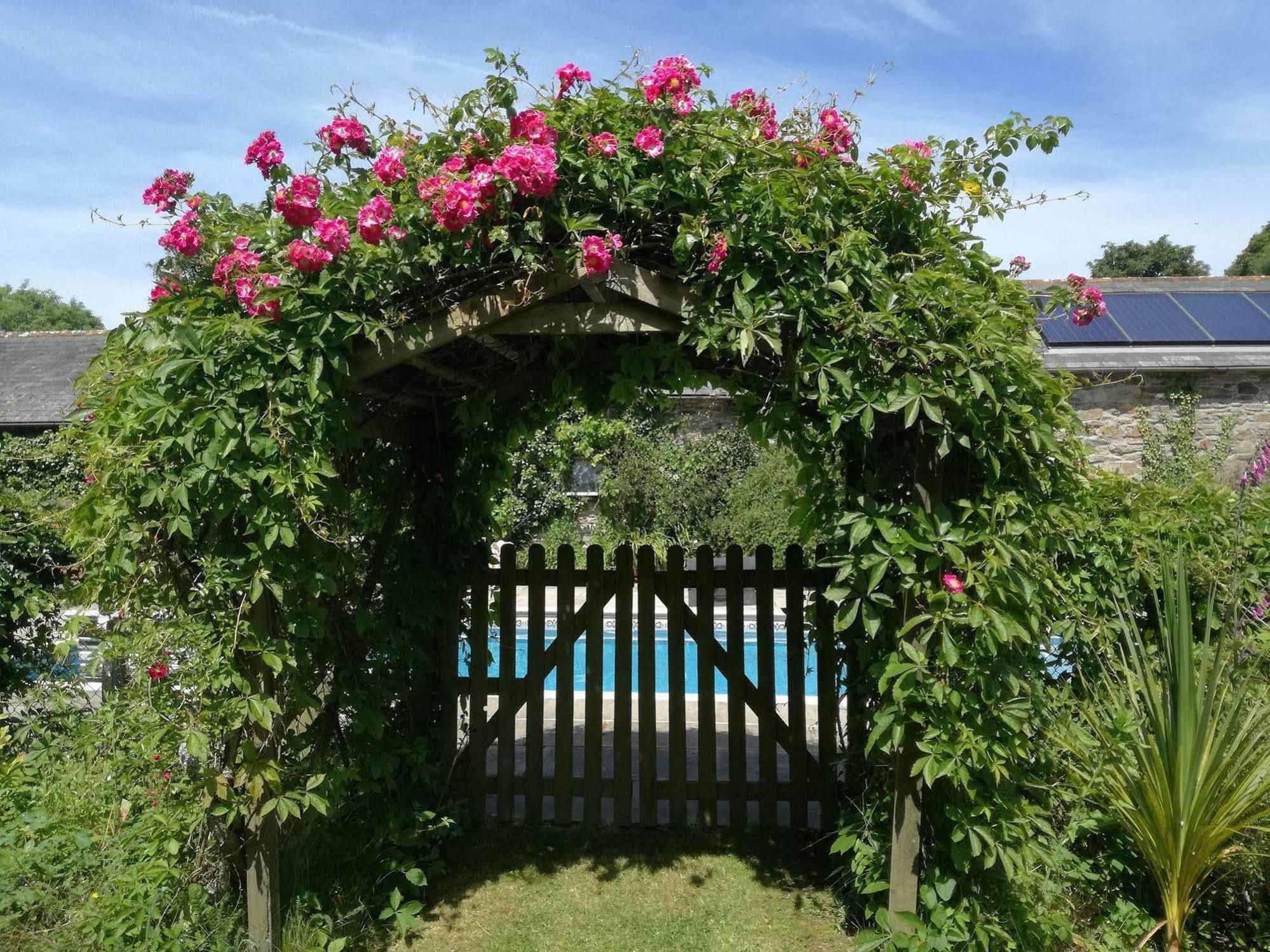 Rose In Vale Country House Hotel St Agnes  Ngoại thất bức ảnh